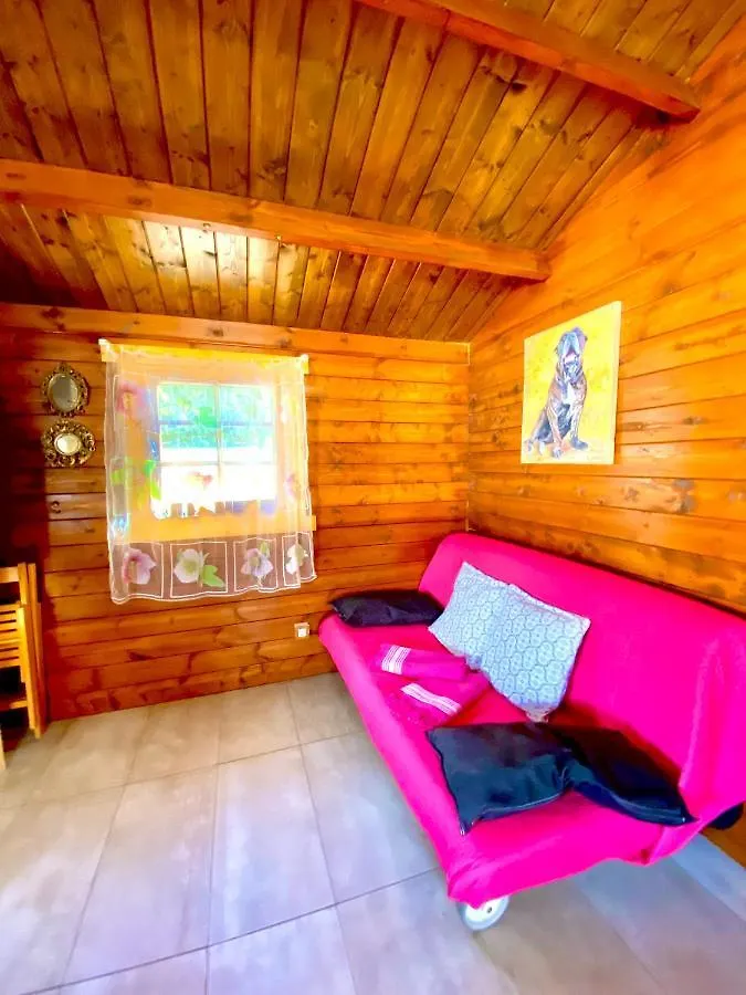 Canary Wild House 2 Carrizal